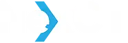 Nexct Logo
